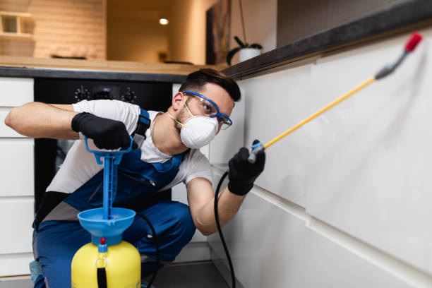Best Pest Removal Services  in Gibson, AR