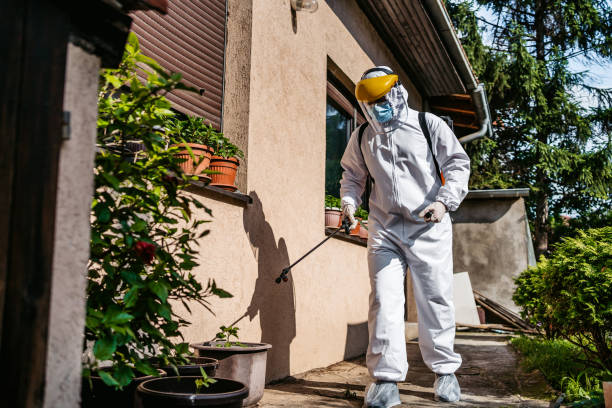 Best Emergency Pest Control  in Gibson, AR