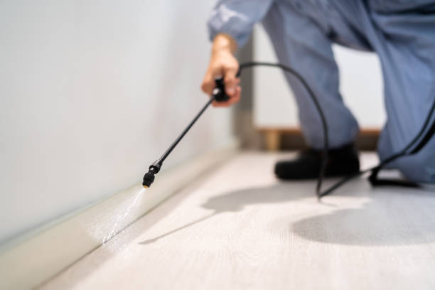Professional Pest Control in Gibson, AR
