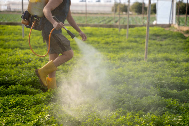 Best Exterminator Services  in Gibson, AR