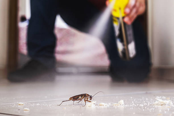 Best Mosquito Control Services  in Gibson, AR