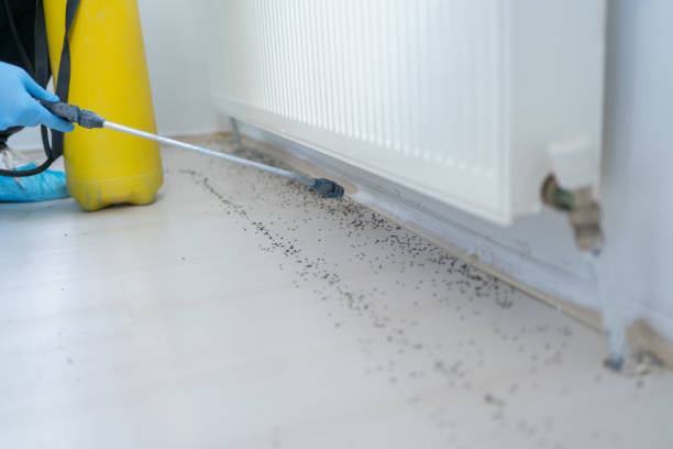 Gibson, AR Pest Control Company