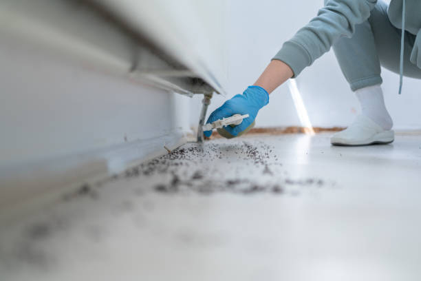 Best Exterminator Services  in Gibson, AR