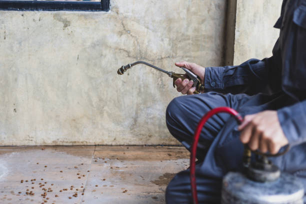 Best Wasp Removal Services  in Gibson, AR