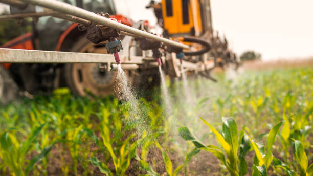 Best Pest Removal Services  in Gibson, AR